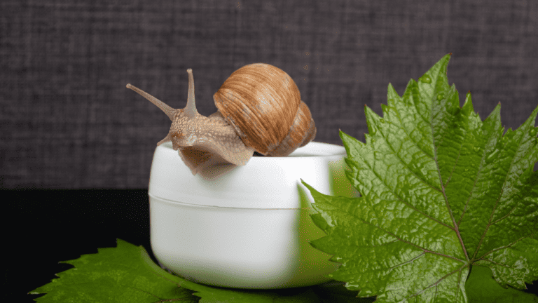 Exploring the Anti-Aging Properties of Snail Mucin