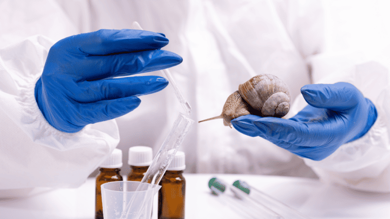 Seasonal Skincare Guide: Optimizing Snail Mucin Use Year-Round
