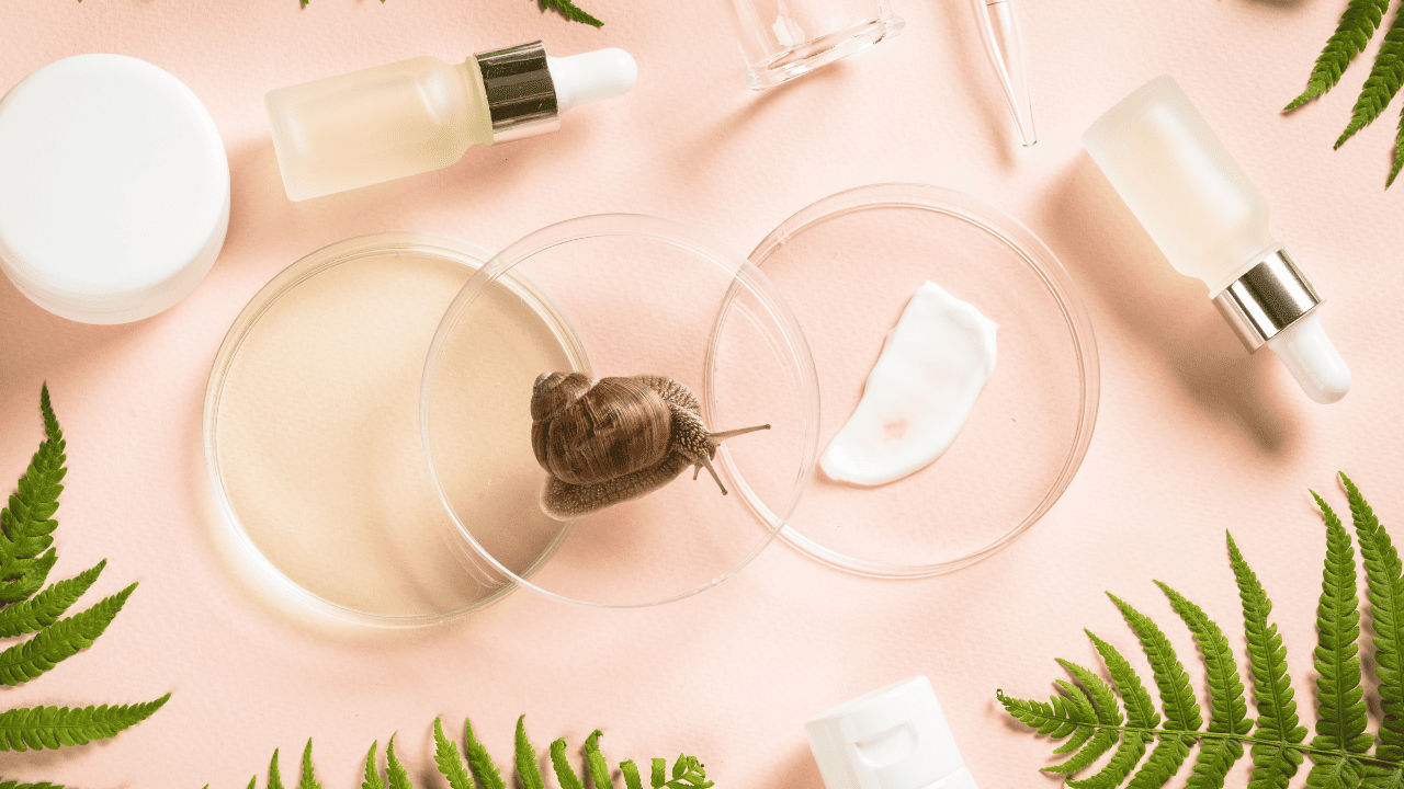 Snail Mucin Anti-Aging Night Cream