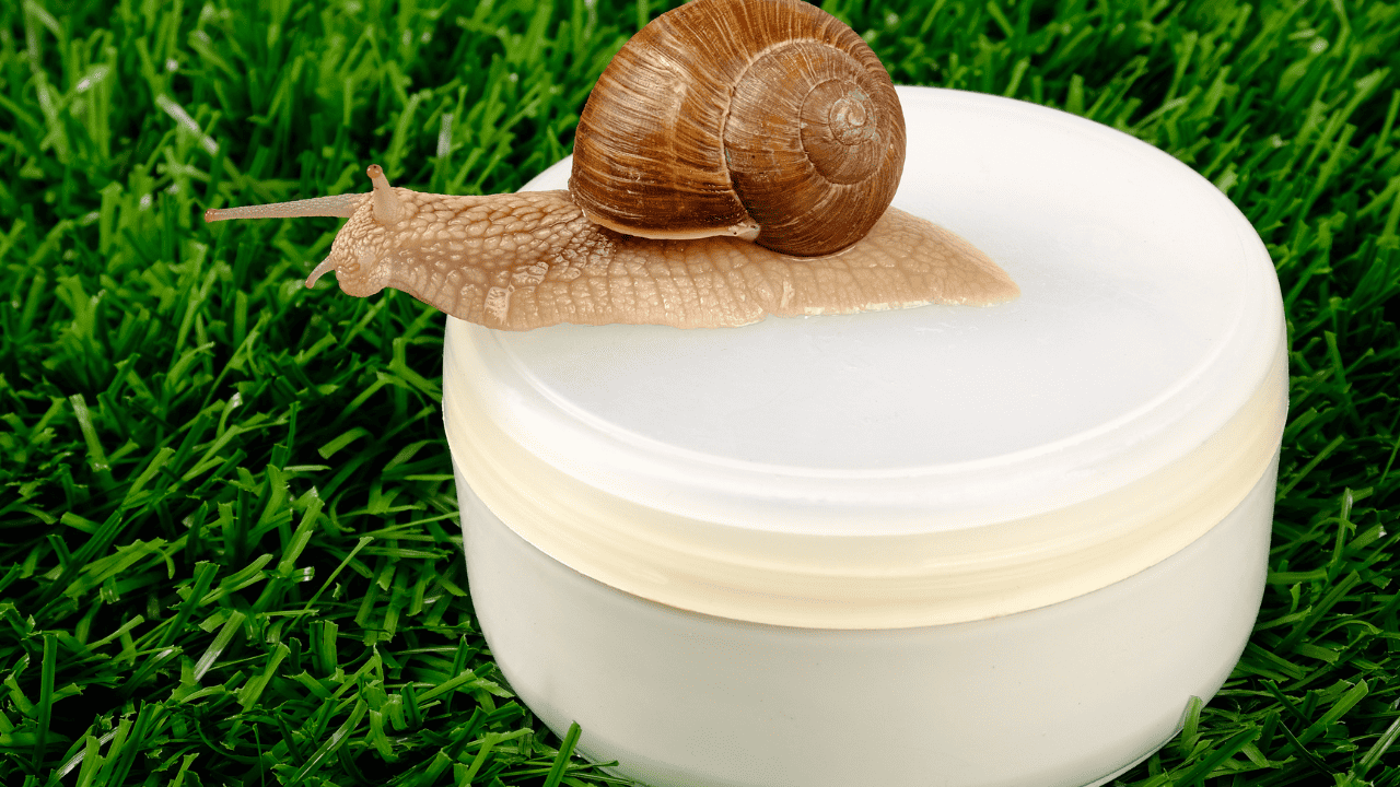 skincare - snail mucin