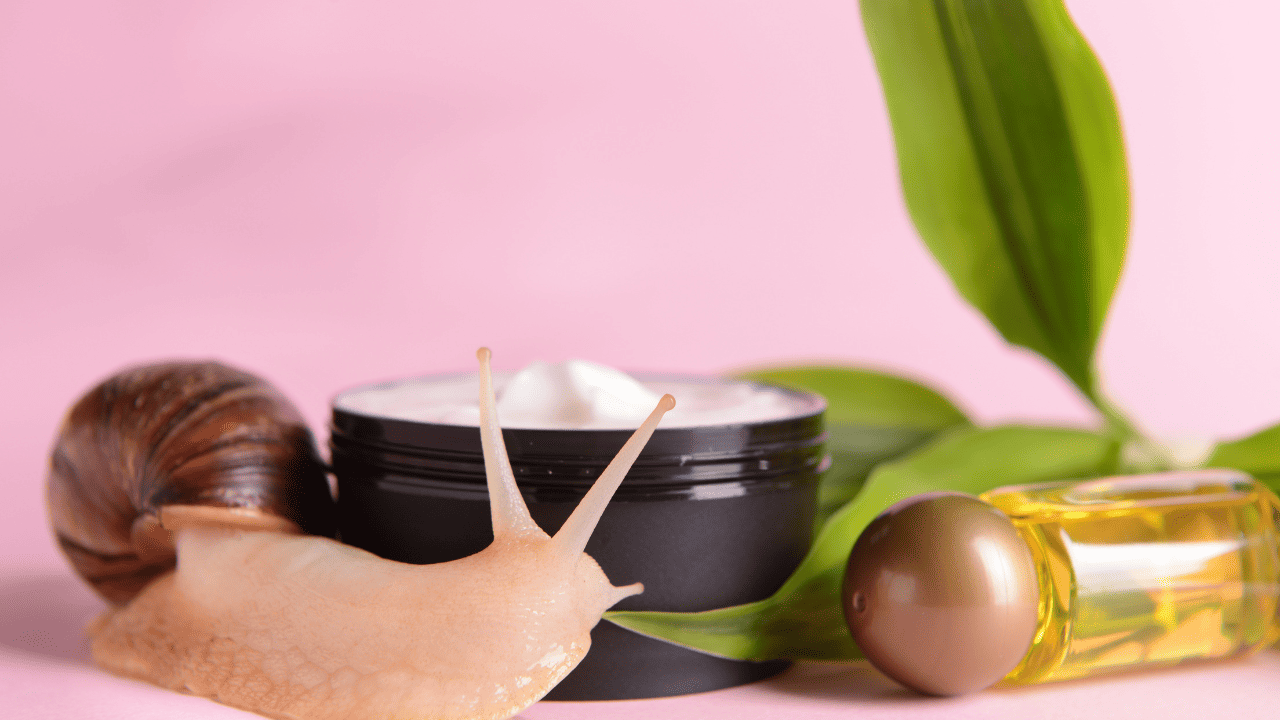 skincare - snail mucin